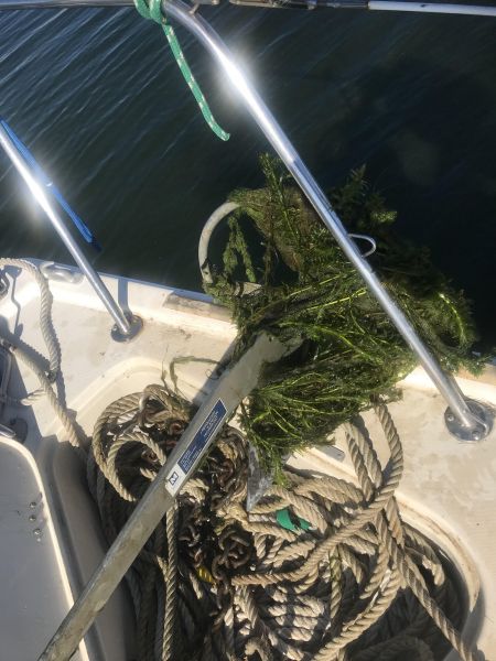 File:Mildred island anchor with debris.jpg